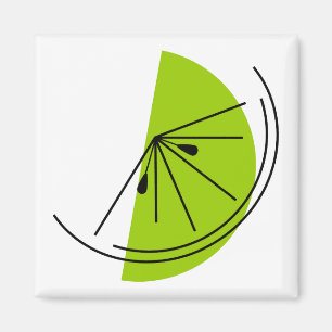Aimant Carré magnétique Citrus Lime