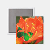 Aimant Carré Papillon Fleur d'Orange (Recto/Verso)