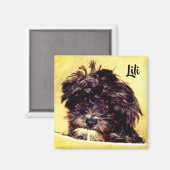 Aimant carré pour chien Schnoodle (Recto/Verso)