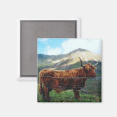Aimant Carré Vache des Highlands - Faune Écossaise (Recto/Verso)