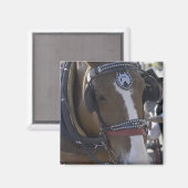 Aimant Carriage horse (Recto/Verso)