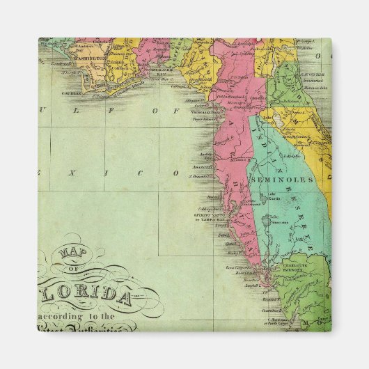 Aimant Carte de Floride (Devant)