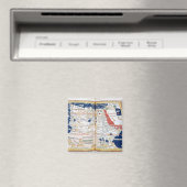 Aimant Carte de l'Afrique (In Situ (Lave-vaisselle))