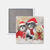 Aimant Carte de Noël Shih Tzu & Teddy Bear (Recto/Verso)