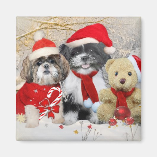 Aimant Carte de Noël Shih Tzu & Teddy Bear (Devant)
