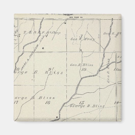 Aimant Carte de section du comté de T20S R25E Tulare (Devant)