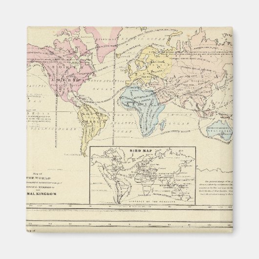 Aimant Carte en couleur du monde (Devant)