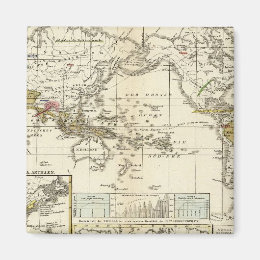 Aimant Carte mondiale des maladies (Devant)