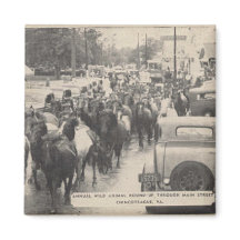 Carte postale Chincoteague Pony Vintage 1941