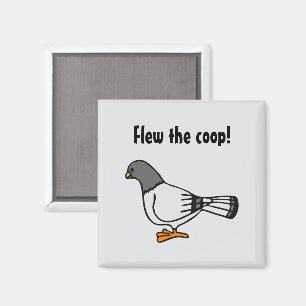 Aimant Carte postale d'adresse nouvelle de pigeon gris de