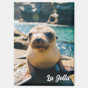 Aimant Carte postale de bébé otarie La Jolla Californie