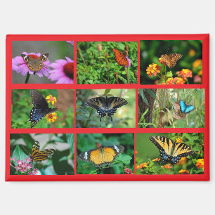 Aimant Carte postale Macro Butterflies