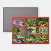 Aimant Carte postale Macro Butterflies (Recto/Verso)