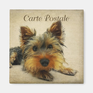 Aimant Carte postale Vintage Yorkshire