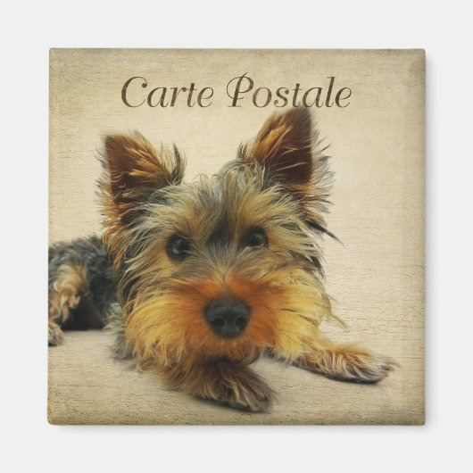 Aimant Carte postale Vintage Yorkshire (Devant)