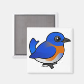 Aimant Carton Western Bluebird (Recto/Verso)