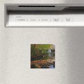 Aimant Cascade automnale et Creek Pennsylvania Nature (In Situ (Lave-vaisselle))