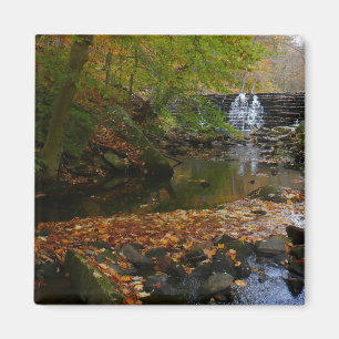 Aimant Cascade automnale et Creek Pennsylvania Nature