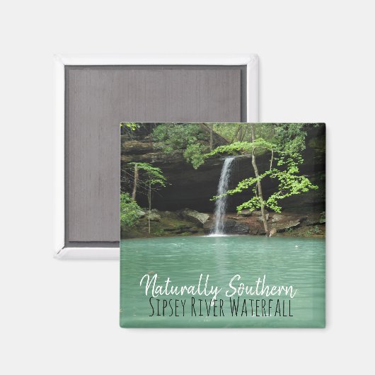 Aimant Cascade de Sipsey du Sud (Recto/Verso)