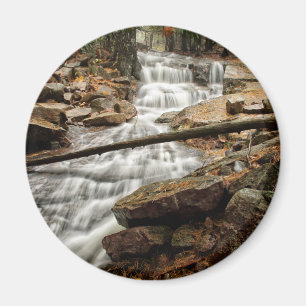Aimant Cascade des forêts