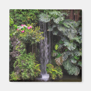Aimant Cascade du jardin luxuriant, Chine