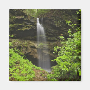 Aimant Cascade tombant dans un sinkhole, Whiteoak Sink,