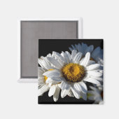 Aimant Cascading Daisy (Recto/Verso)