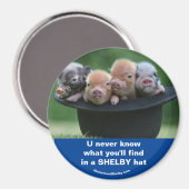 Aimant Casquette (Recto/Verso)