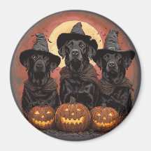 Casquettes de sorcière pour chiens de trieuse d'Ha