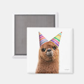 Aimant Casquettes du parti Alpaca (Recto/Verso)