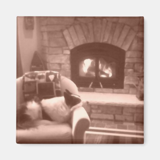 Aimant Cassie (Devant)