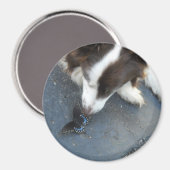 Aimant Cassie et papillon (Recto/Verso)