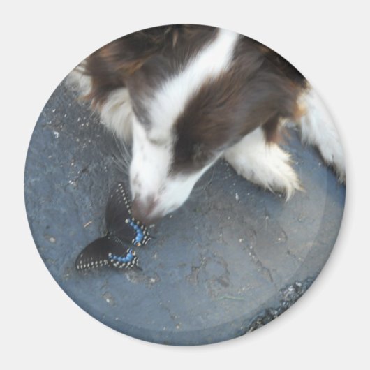 Aimant Cassie et papillon (Devant)