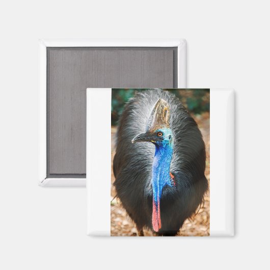Aimant Cassowary australien (Recto/Verso)