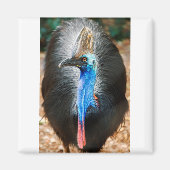 Aimant Cassowary australien (Devant)