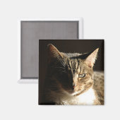 Aimant cat (Recto/Verso)