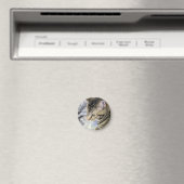 Aimant Cat (In Situ (Lave-vaisselle))