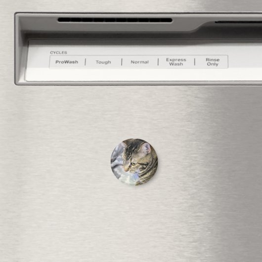 Aimant Cat (In Situ (Lave-vaisselle))