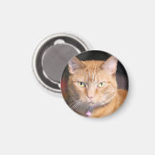 Aimant Cat (Recto/Verso)