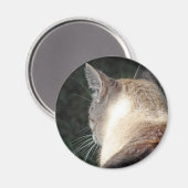 Aimant Cat (Recto/Verso)