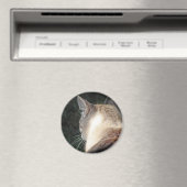 Aimant Cat (In Situ (Lave-vaisselle))