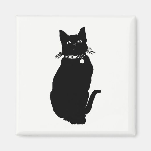 Aimant Cat (Devant)