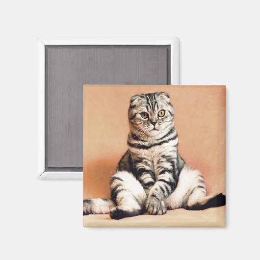 Aimant Cat (Recto/Verso)