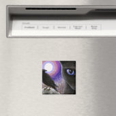 Aimant Cat 570 (In Situ (Lave-vaisselle))