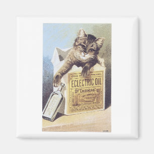 Aimant Cat à huile électrique