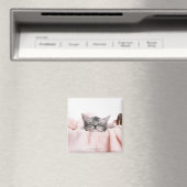 Aimant Cat américain shorthair (In Situ (Lave-vaisselle))
