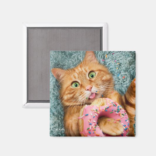 Aimant Cat Eating Donut (Recto/Verso)