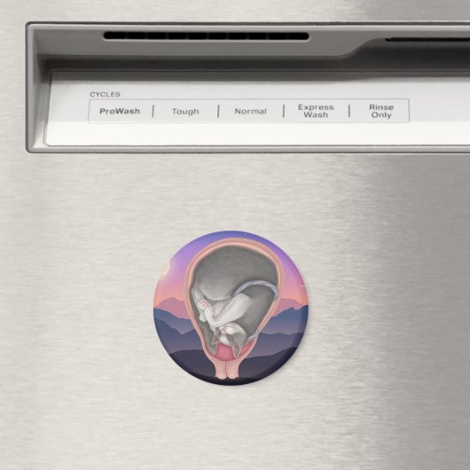 Aimant Cat Fetus (In Situ (Lave-vaisselle))