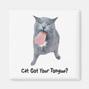 Aimant Cat Got Your Tongue?