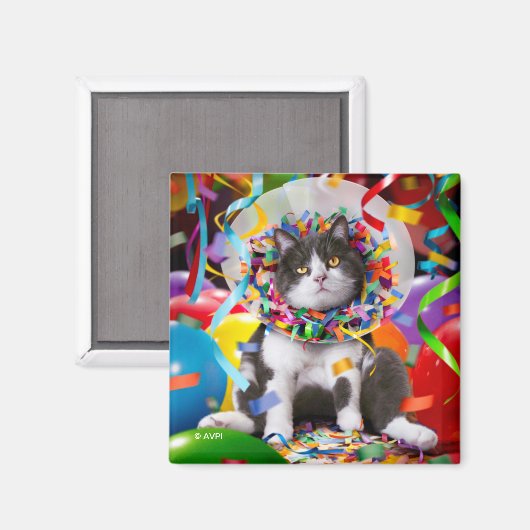 Aimant Cat In Party Cone (Recto/Verso)